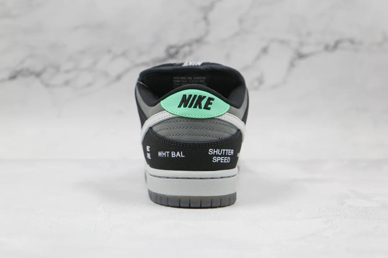 Nike SB Dunk Low Vx1000 CAMCORDER